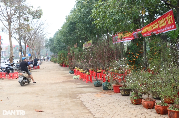 1 Nghe An Vang Bong Khach Mua Nguoi Ban Dao Treo Bien Xa Lo