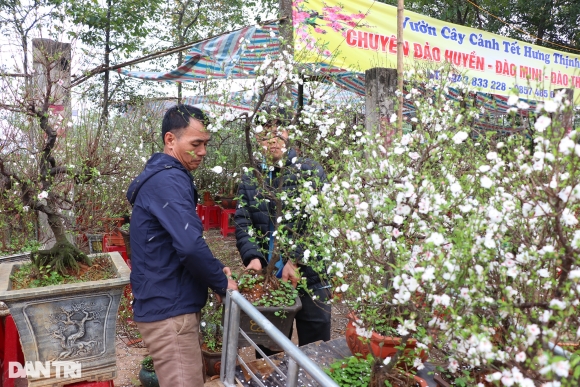 4 Nghe An Vang Bong Khach Mua Nguoi Ban Dao Treo Bien Xa Lo