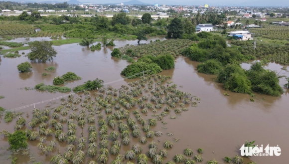 5 Ngap Chua Tung Co O Binh Thuan Do Mua Lon Hay Lam Duong Ngan Nuoc