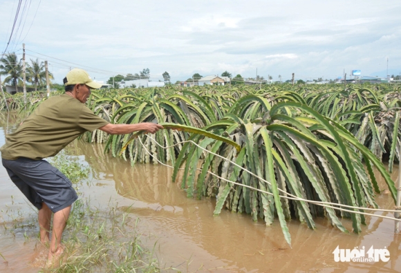 9 Ngap Chua Tung Co O Binh Thuan Do Mua Lon Hay Lam Duong Ngan Nuoc