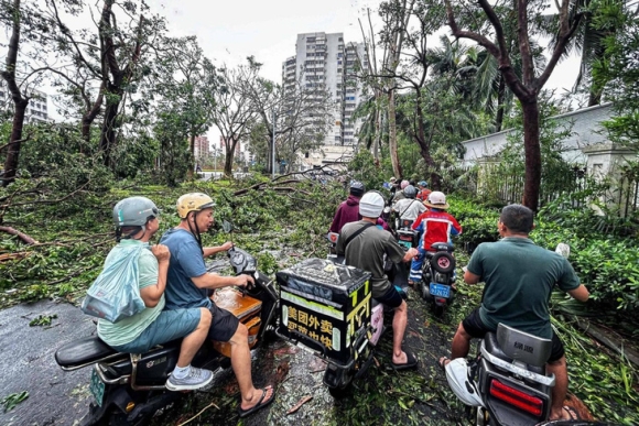 1 Nho Dau Hai Nam Giam Duoc Thiet Hai Do Sieu Bao Yagi