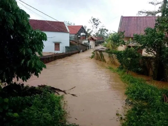 3 Vo Tran Nhieu Doan De O Tien Yen Quang Ninh Do Lu Dang Cao