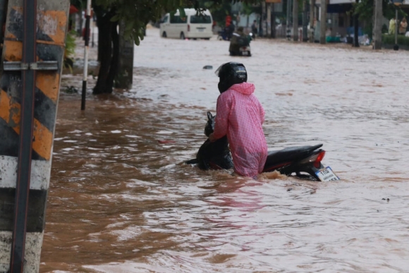 1 Duong Pho Chiang Mai Chim Trong Nuoc Lu